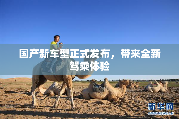 国产新车型正式发布，带来全新驾乘体验