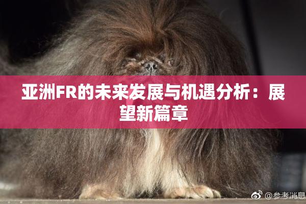 亚洲FR的未来发展与机遇分析：展望新篇章