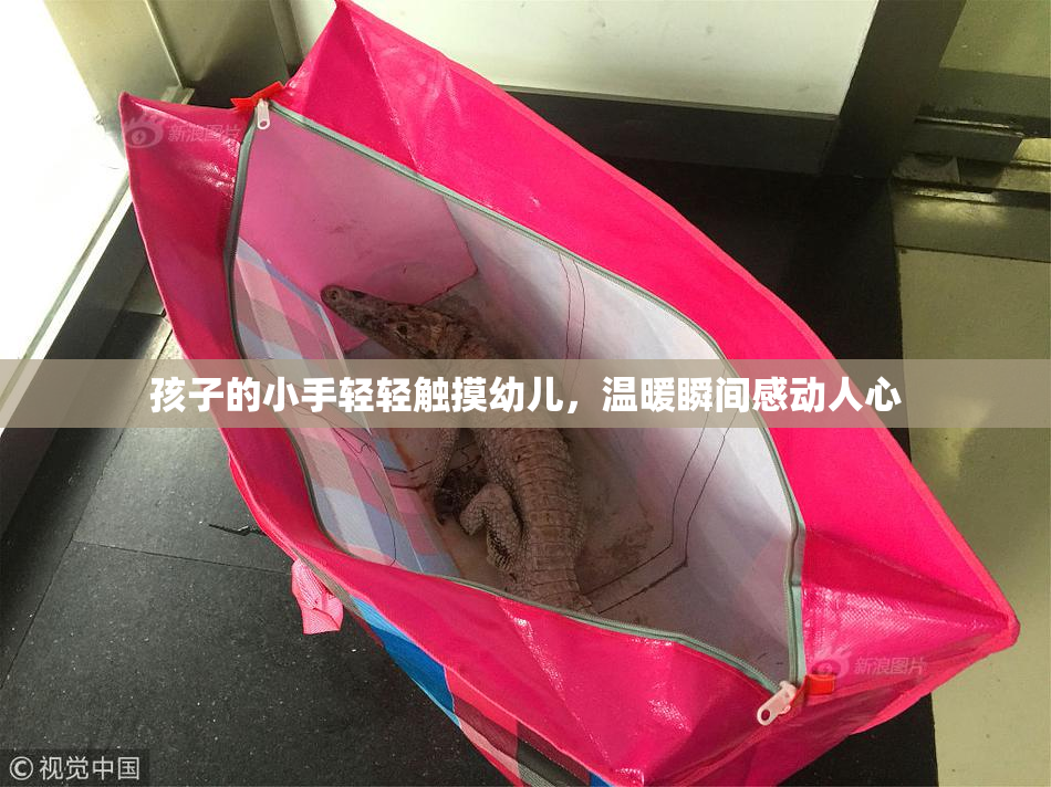 孩子的小手轻轻触摸幼儿，温暖瞬间感动人心