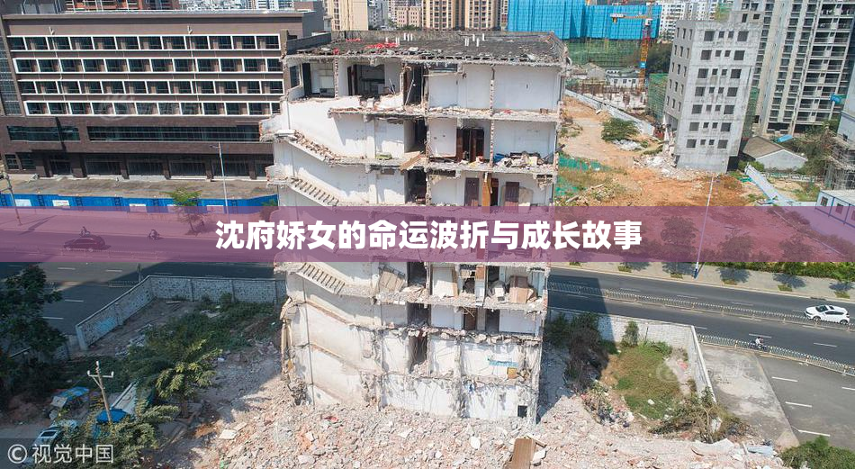 沈府娇女的命运波折与成长故事