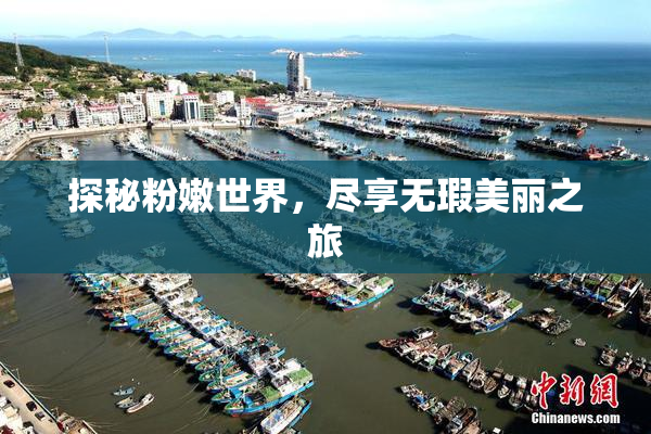 探秘粉嫩世界，尽享无瑕美丽之旅