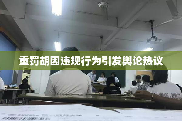 重罚胡因违规行为引发舆论热议