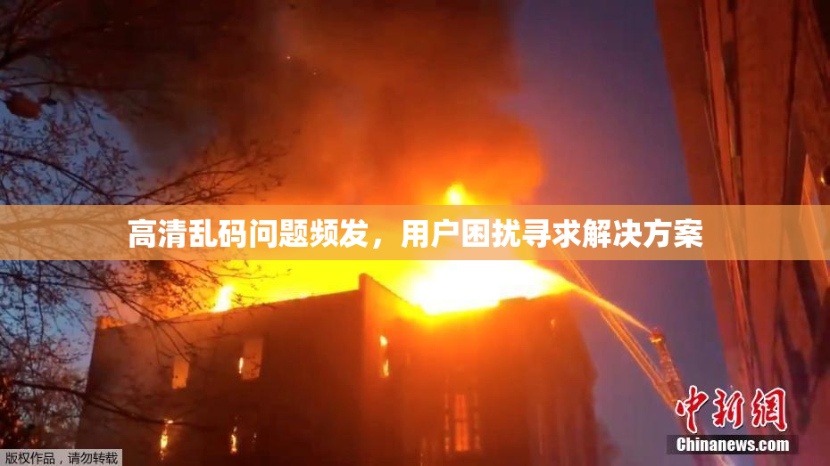 高清乱码问题频发，用户困扰寻求解决方案