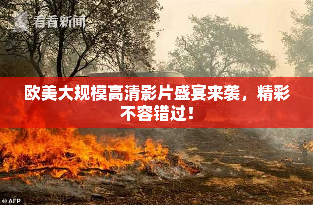 欧美大规模高清影片盛宴来袭，精彩不容错过！