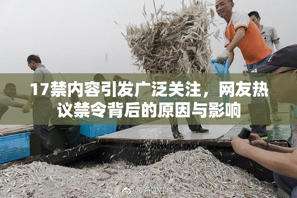 17禁内容引发广泛关注，网友热议禁令背后的原因与影响