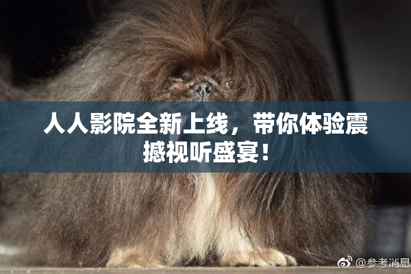 人人影院全新上线，带你体验震撼视听盛宴！