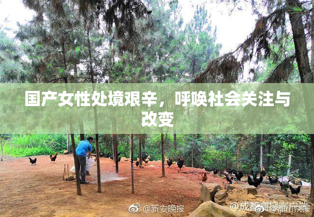 国产女性处境艰辛，呼唤社会关注与改变