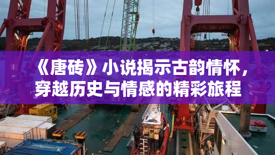 《唐砖》小说揭示古韵情怀，穿越历史与情感的精彩旅程