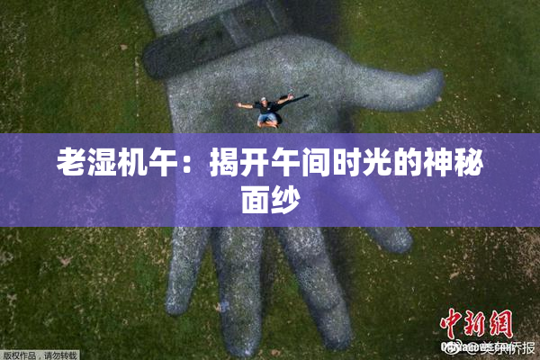 老湿机午：揭开午间时光的神秘面纱