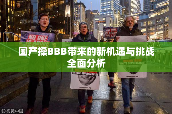 国产搡BBB带来的新机遇与挑战全面分析