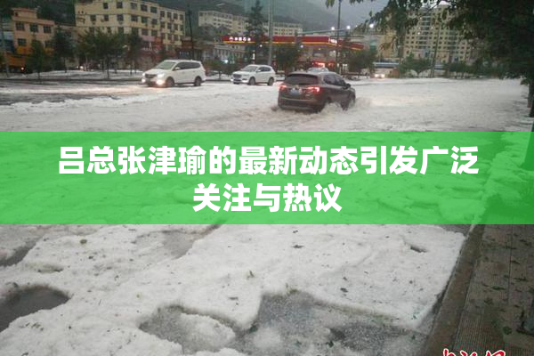 吕总张津瑜的最新动态引发广泛关注与热议