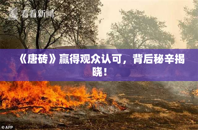 《唐砖》赢得观众认可，背后秘辛揭晓！