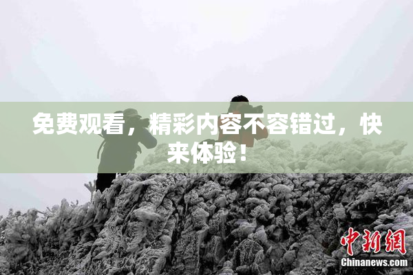 免费观看，精彩内容不容错过，快来体验！