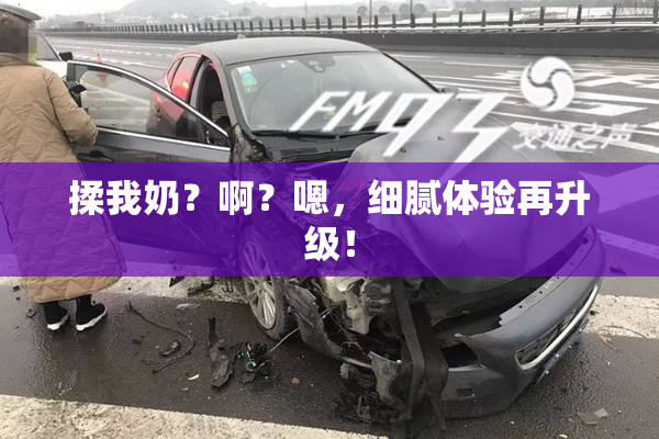 揉我奶？啊？嗯，细腻体验再升级！