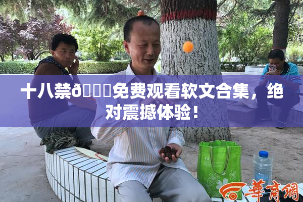 十八禁🔞免费观看软文合集，绝对震撼体验！
