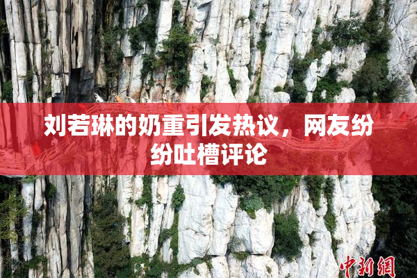 刘若琳的奶重引发热议，网友纷纷吐槽评论