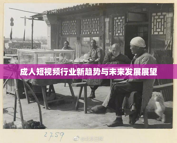 成人短视频行业新趋势与未来发展展望