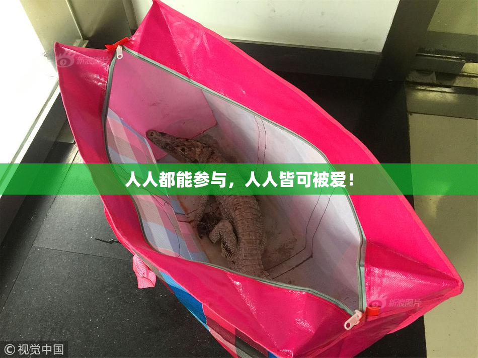 人人都能参与，人人皆可被爱！