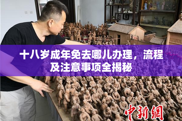 十八岁成年免去哪儿办理，流程及注意事项全揭秘