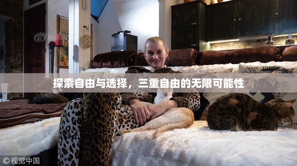 探索自由与选择，三重自由的无限可能性