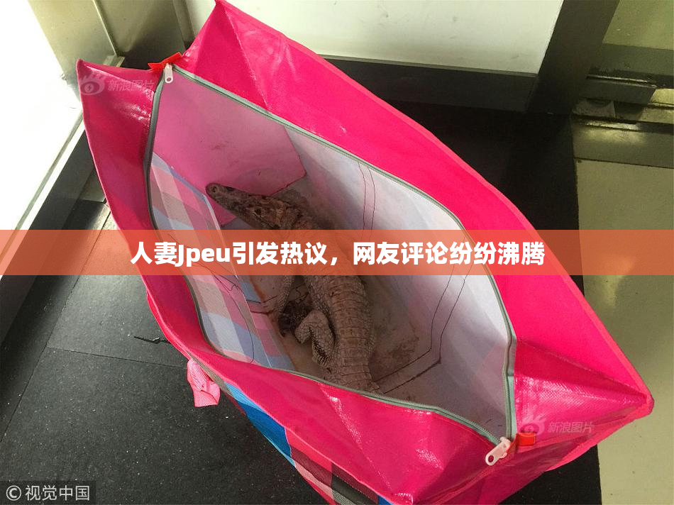 人妻Jpeu引发热议，网友评论纷纷沸腾