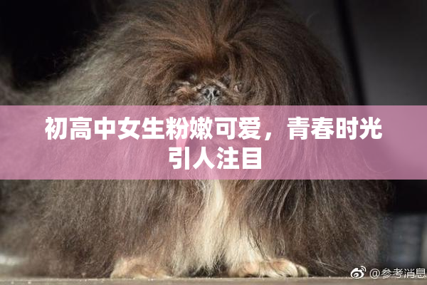 初高中女生粉嫩可爱，青春时光引人注目