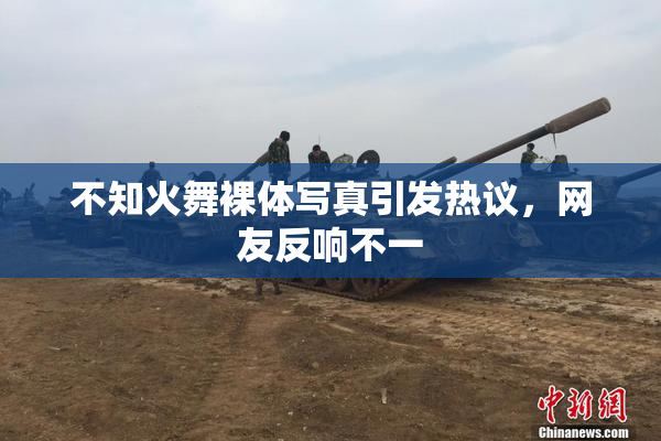不知火舞裸体写真引发热议，网友反响不一
