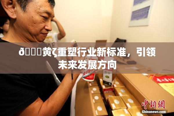 🔞黄ζ重塑行业新标准，引领未来发展方向