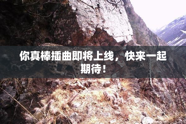 你真棒插曲即将上线，快来一起期待！
