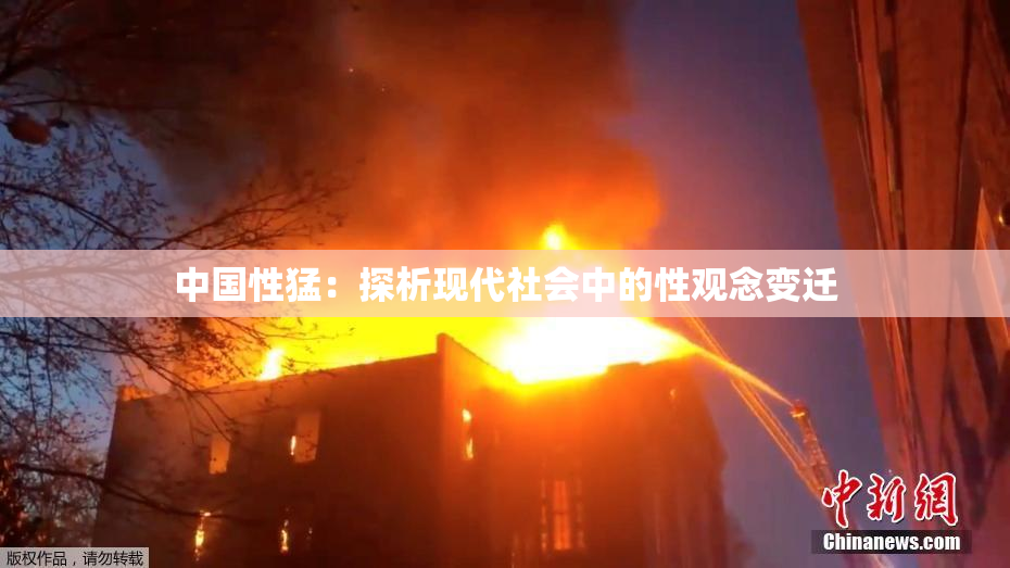 中国性猛：探析现代社会中的性观念变迁