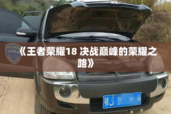 《王者荣耀18 决战巅峰的荣耀之路》