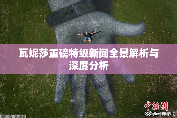 瓦妮莎重磅特级新闻全景解析与深度分析