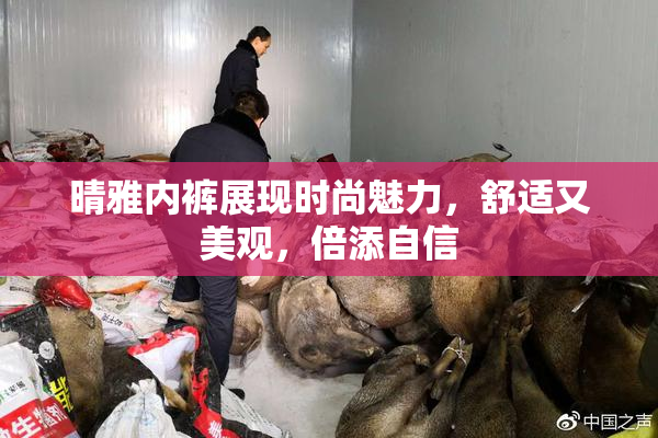 晴雅内裤展现时尚魅力，舒适又美观，倍添自信