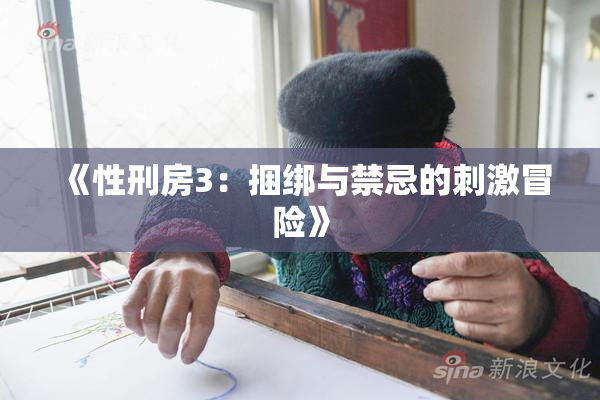 《性刑房3：捆绑与禁忌的刺激冒险》