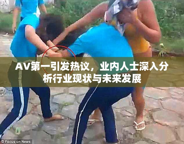 AV第一引发热议，业内人士深入分析行业现状与未来发展