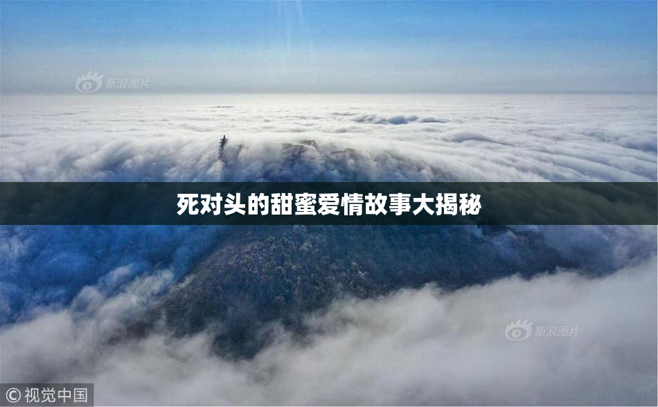 死对头的甜蜜爱情故事大揭秘