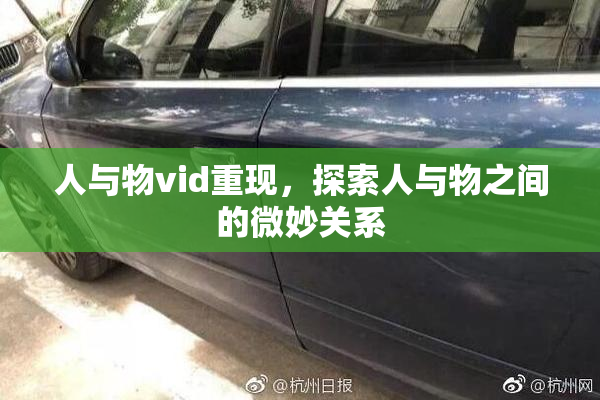 人与物vid重现，探索人与物之间的微妙关系