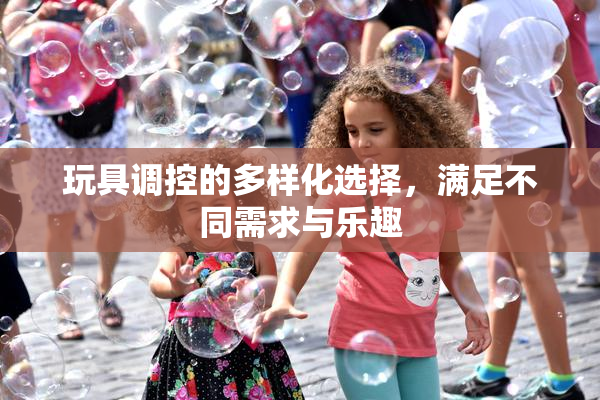 玩具调控的多样化选择，满足不同需求与乐趣