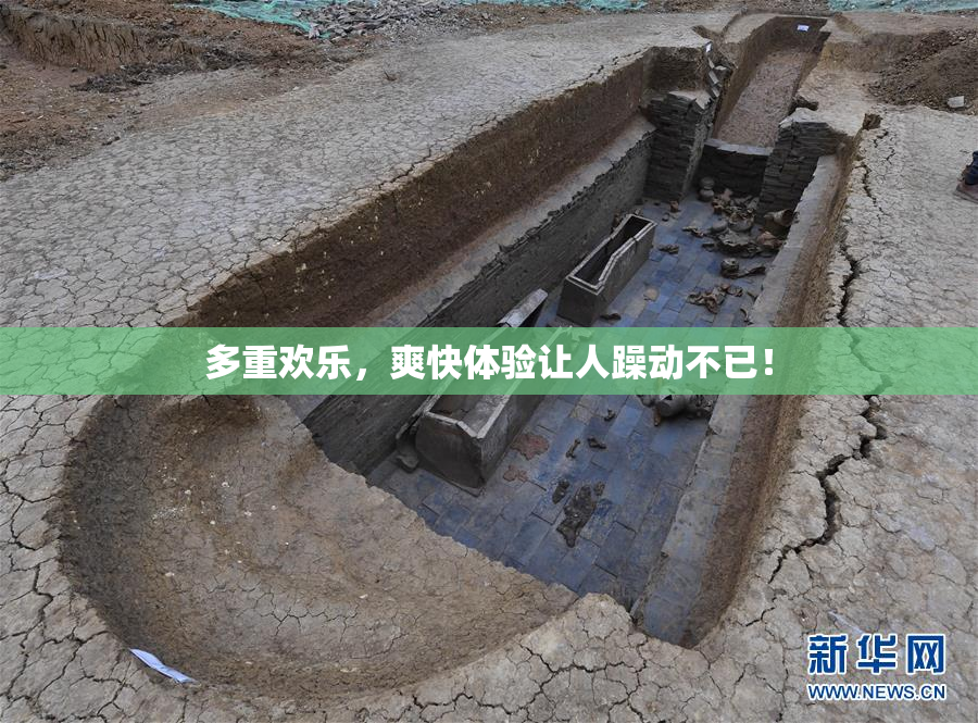 多重欢乐，爽快体验让人躁动不已！