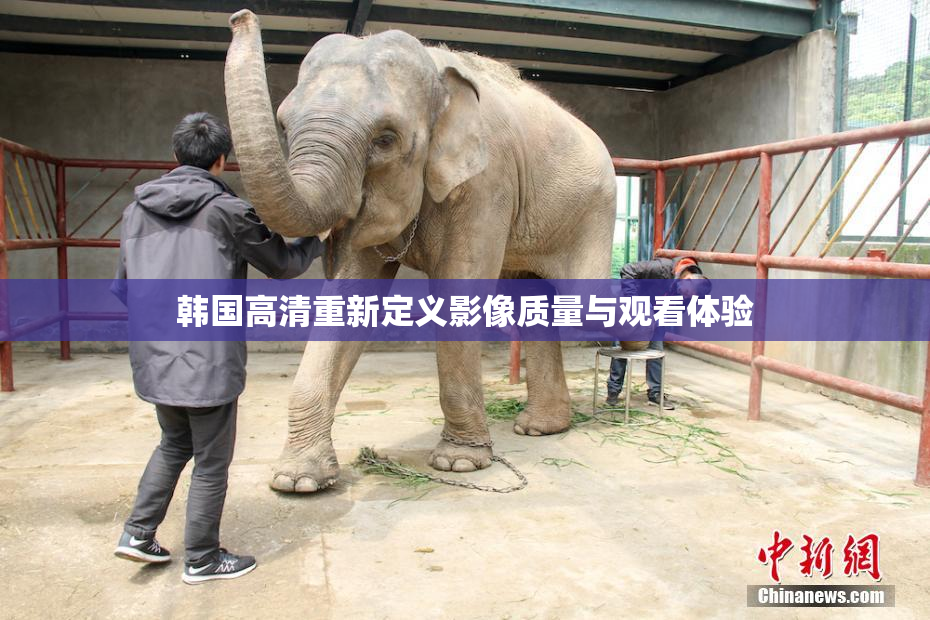 韩国高清重新定义影像质量与观看体验