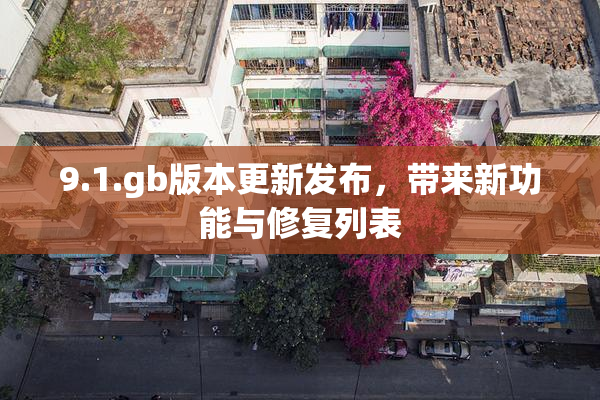 9.1.gb版本更新发布，带来新功能与修复列表