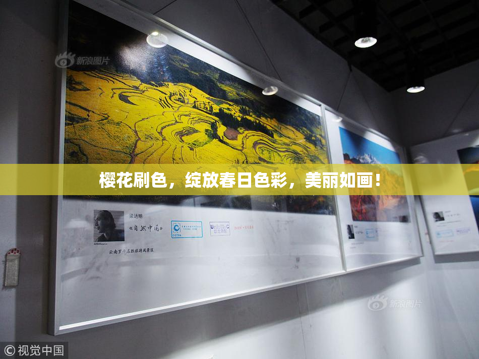 樱花刷色，绽放春日色彩，美丽如画！