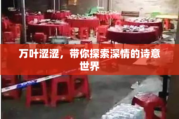 万叶涩涩，带你探索深情的诗意世界