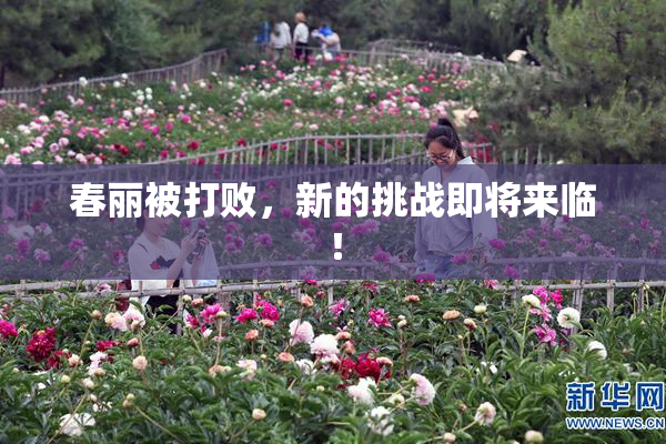 春丽被打败，新的挑战即将来临！