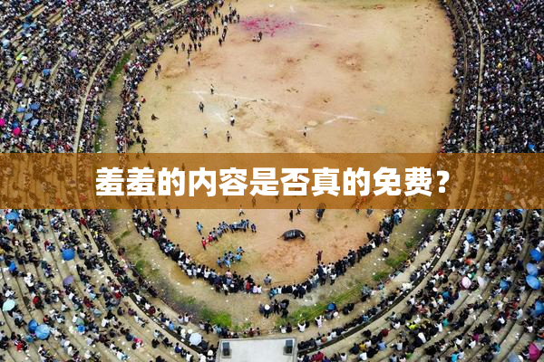 羞羞的内容是否真的免费？