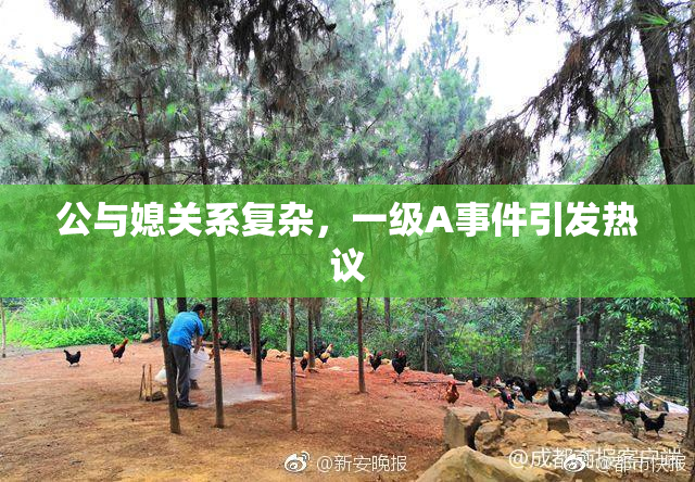 公与媳关系复杂，一级A事件引发热议