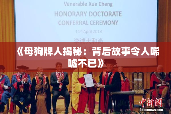 《母狗牌人揭秘：背后故事令人唏嘘不已》