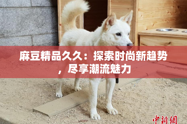 麻豆精品久久：探索时尚新趋势，尽享潮流魅力