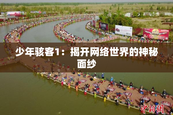 少年骇客1：揭开网络世界的神秘面纱