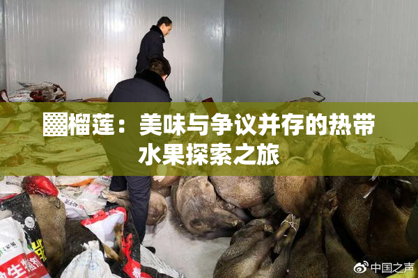 ▓榴莲：美味与争议并存的热带水果探索之旅
